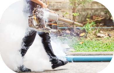 Tecnologia avançada