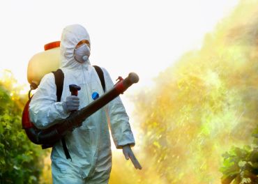 Eliminação de pragas